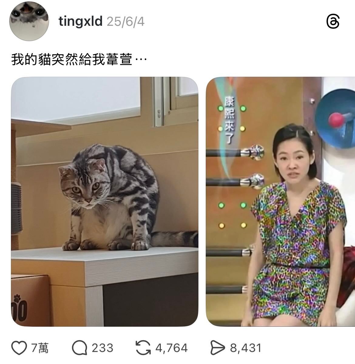 各种苇萱苇萱其实是一个种族吧