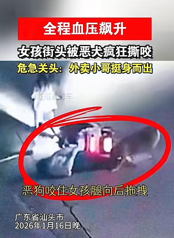 “必须严惩！”1月16日，广东汕头，两名女子骑车时，一条未栓绳的恶犬突然窜出来，