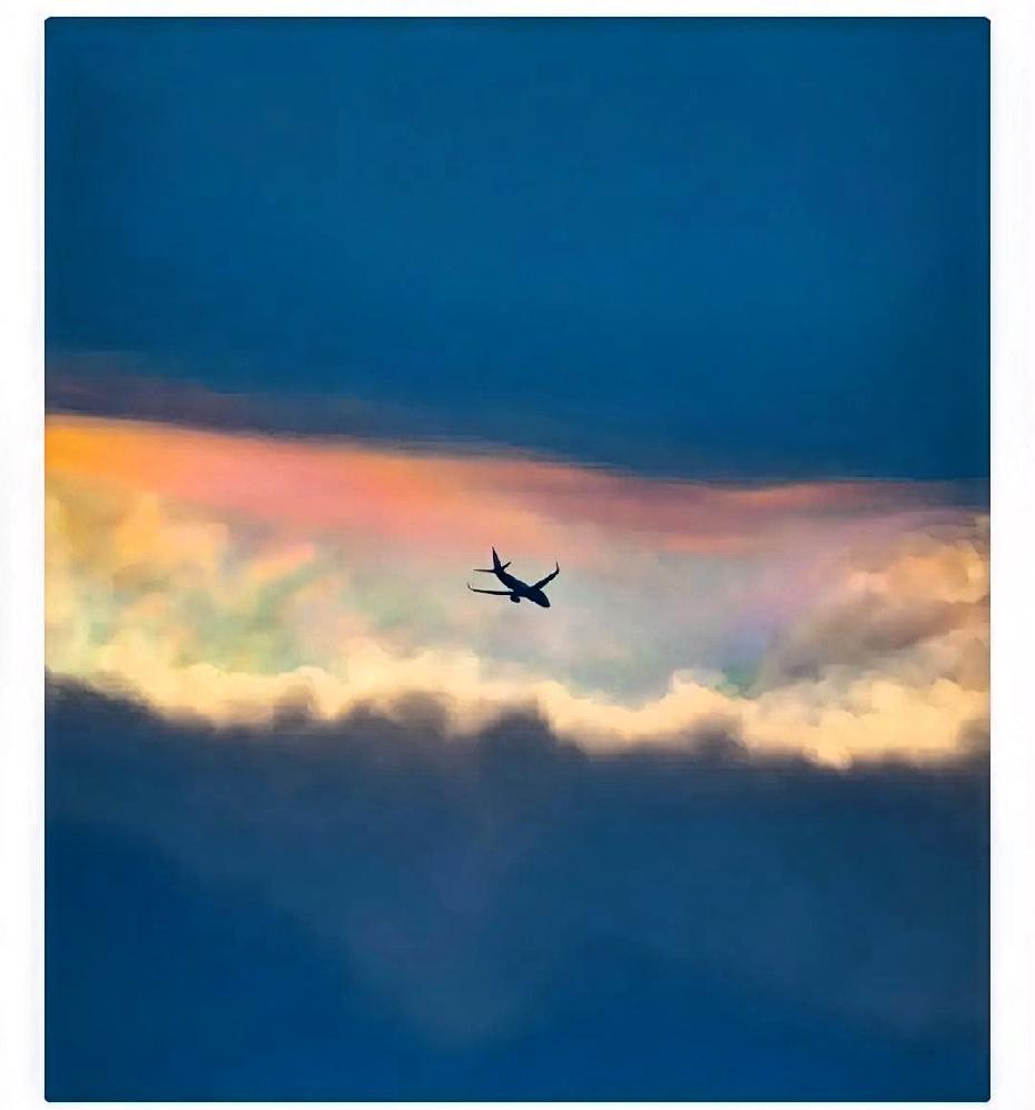 特朗普承认了……特朗普承认：我手上老是淤青，因为每天吃大量阿司匹林