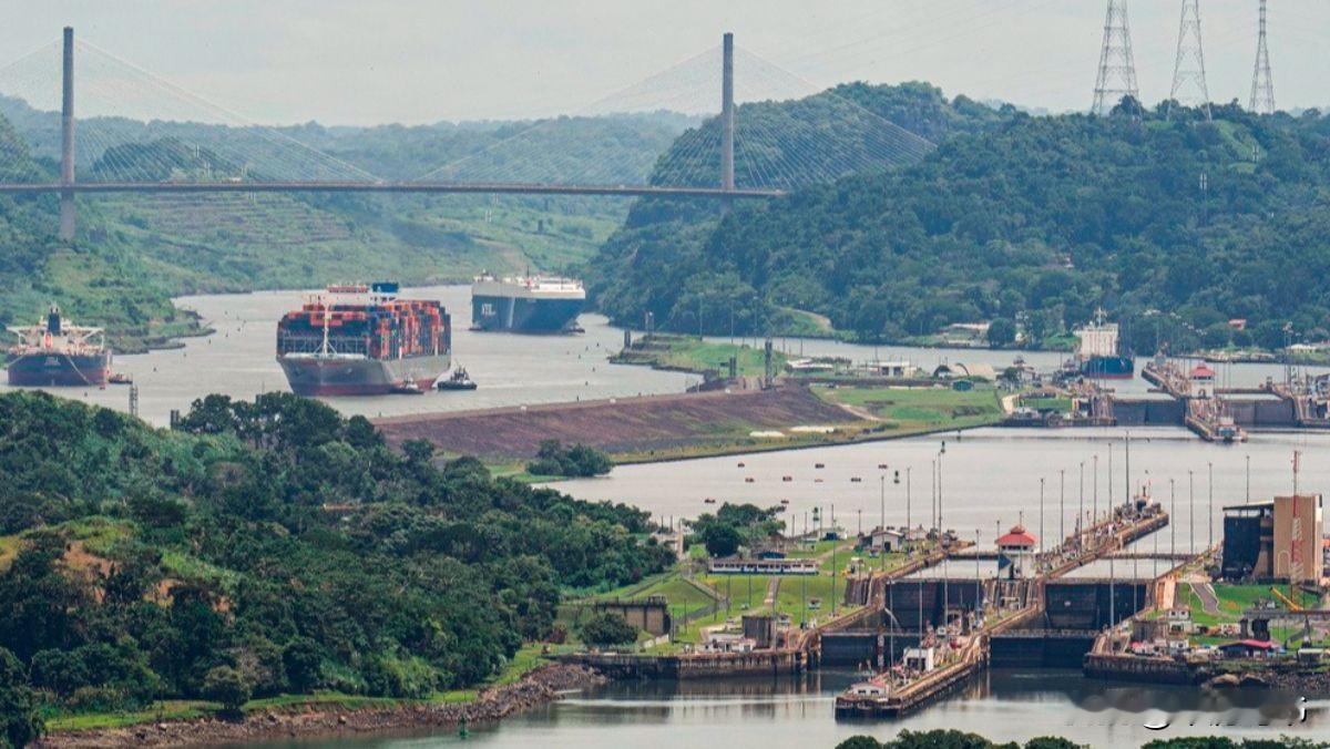 巴：赶紧把铺盖卷好，你可以走了。中：走哪去？这合同不才自动续期到2047年吗？