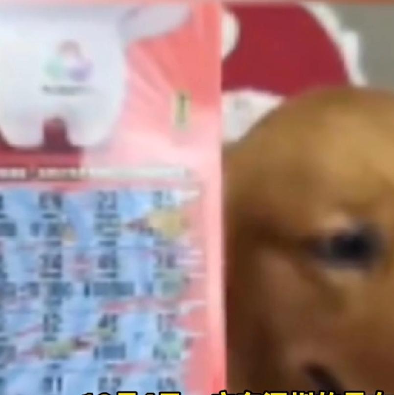 是幸运还是早注定用狗爪刮彩票，刮出1万元。好像是写小品剧本，想不到还真有其事。