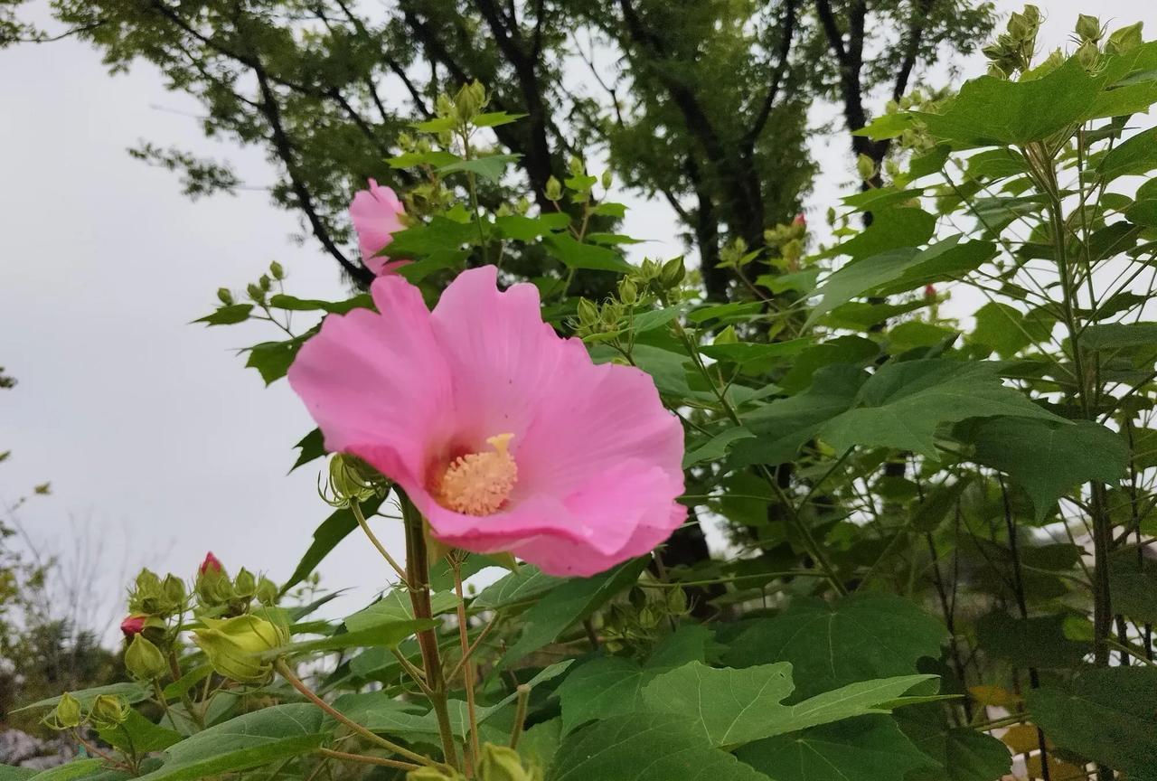 孩子在高中阶段，要让孩子知道，别太在意同学关系，能处的好就处，处不好也别纠结。