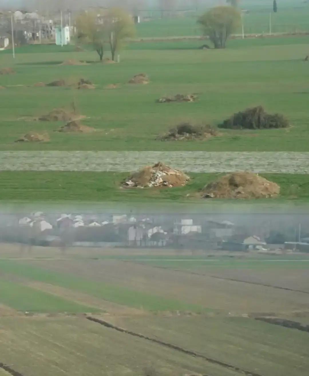 再过几百年，我们的后人想寻根，可能真的只能对着一堆资料发呆了听说2026年3月