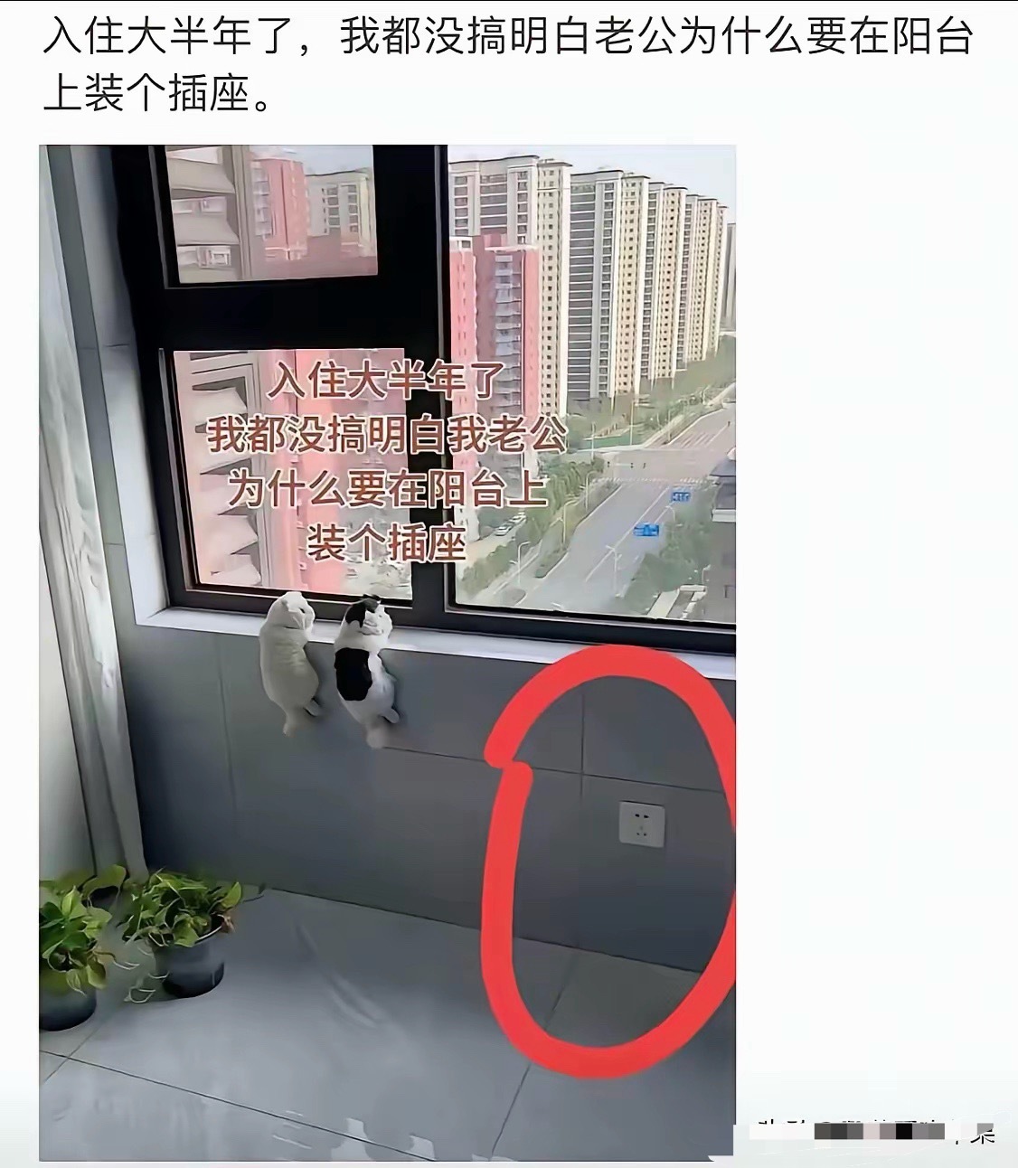 不是，作为女生，我居然秒懂