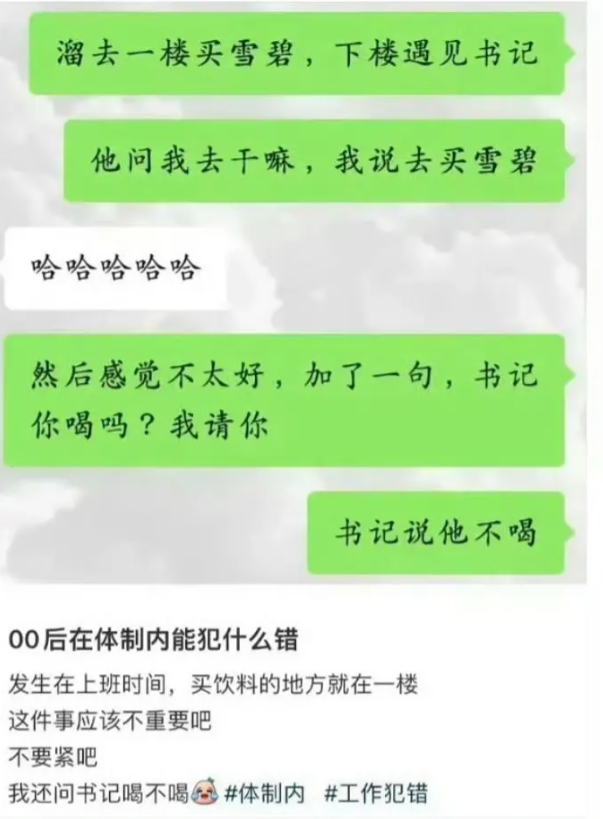 00后在体制内能捅什么篓子