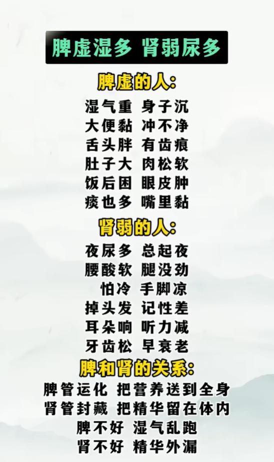 浑身发沉、夜尿频繁，看看是脾虚还是肾虚