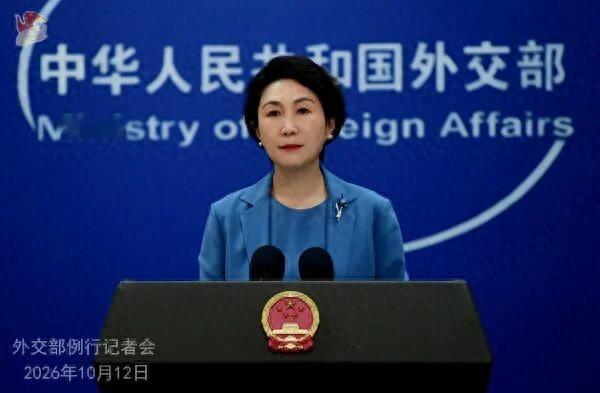 10月12日，外交部郑重向外界公布，中共中央政治局委员、外交部长将以中方主席特别