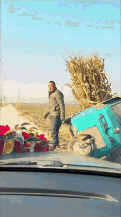 山东大哥开着三轮车去自家地里拉秸秆，行驶在乡间小路上时，迎面缓缓驶来了贴着鲜花的