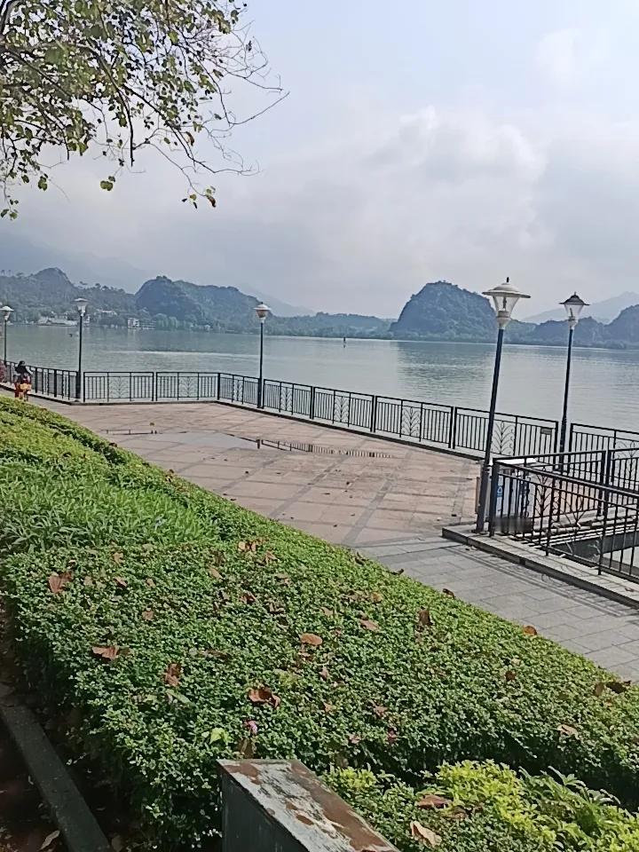 我在肇庆市的星湖边发现一个很严重的问题但不知道怎么说才好你敢相信吗？