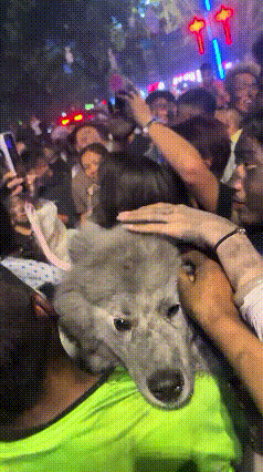 火把节名场面！小白狗被众人摸成小黑狗😂太真实又好笑的现场！男子带着自家干