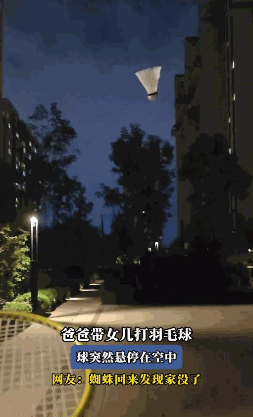 “解释不清了！”8月25日，吉林长春，一男子陪女儿在小区楼下打羽毛球，不料，羽毛