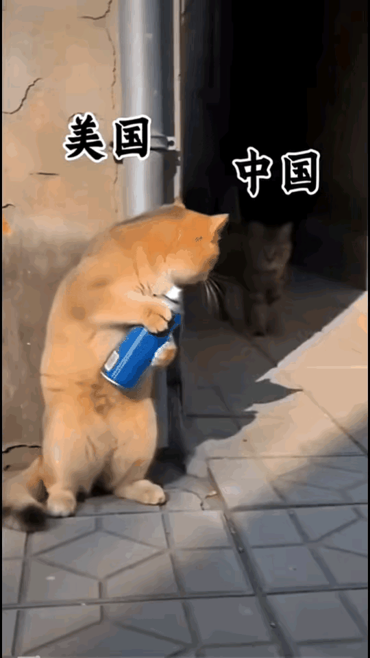 太逼真形象了吧。以后还使坏吧