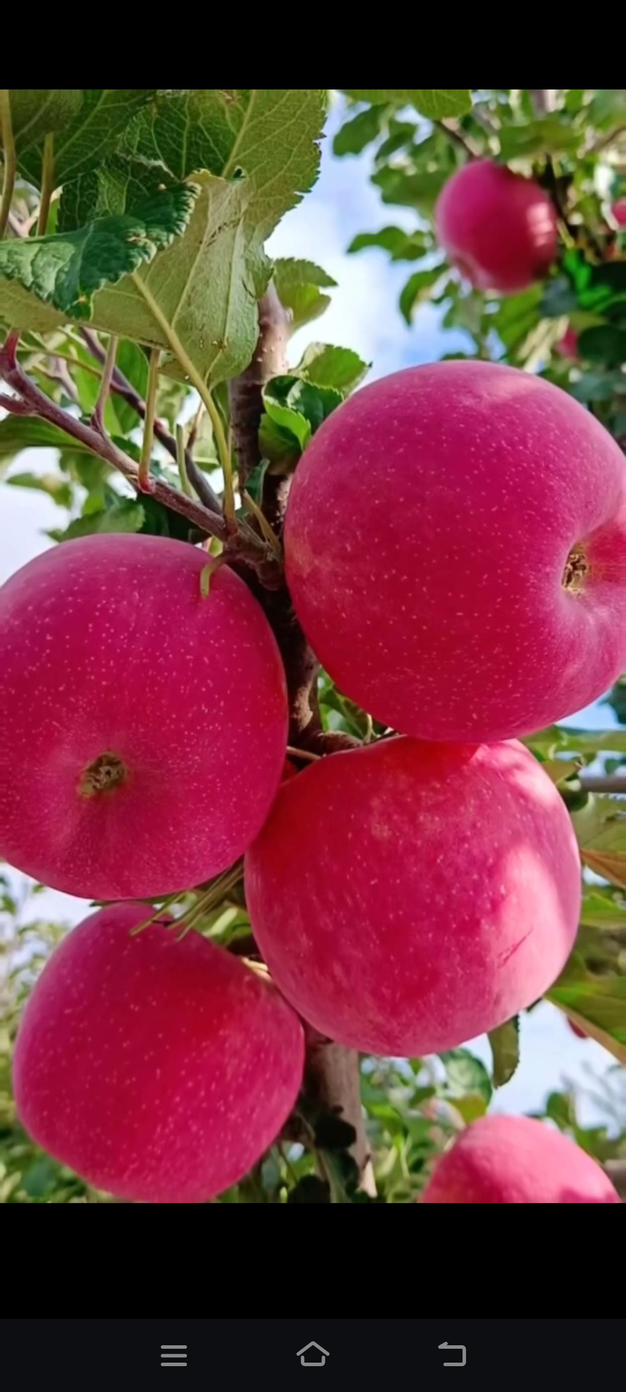 让生活开心快乐起来的6个方法：第一：不看、不听，不想只要你装傻，就不