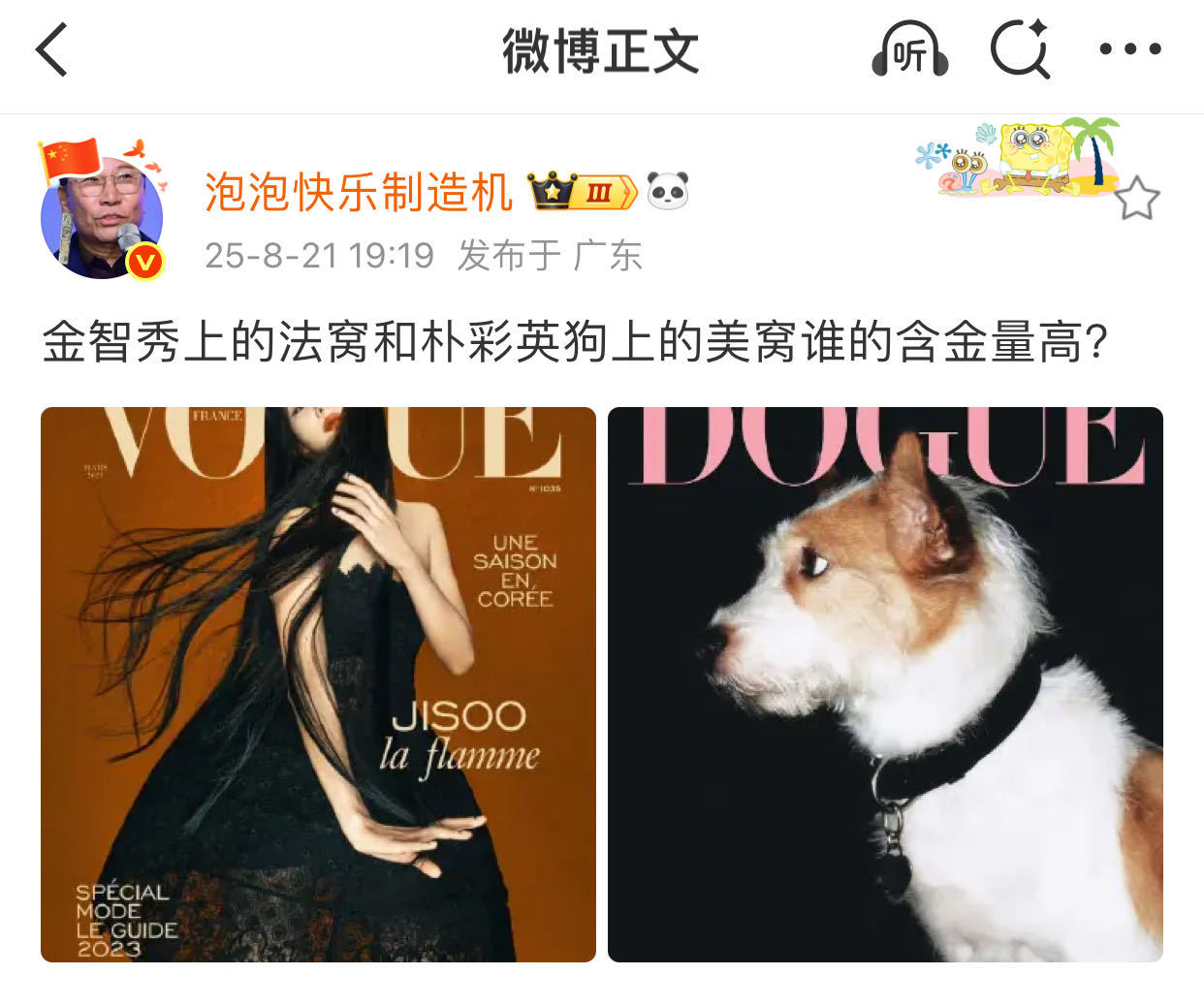 2025年，你甚至可以看到朴彩英养的狗登上的美窝线上杂志和金智秀法窝对比，是在对