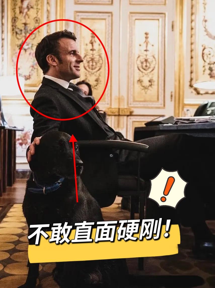 自己不强大的话出事了也不敢硬刚只能默默说两句！[哭哭]法国总统马克龙1月