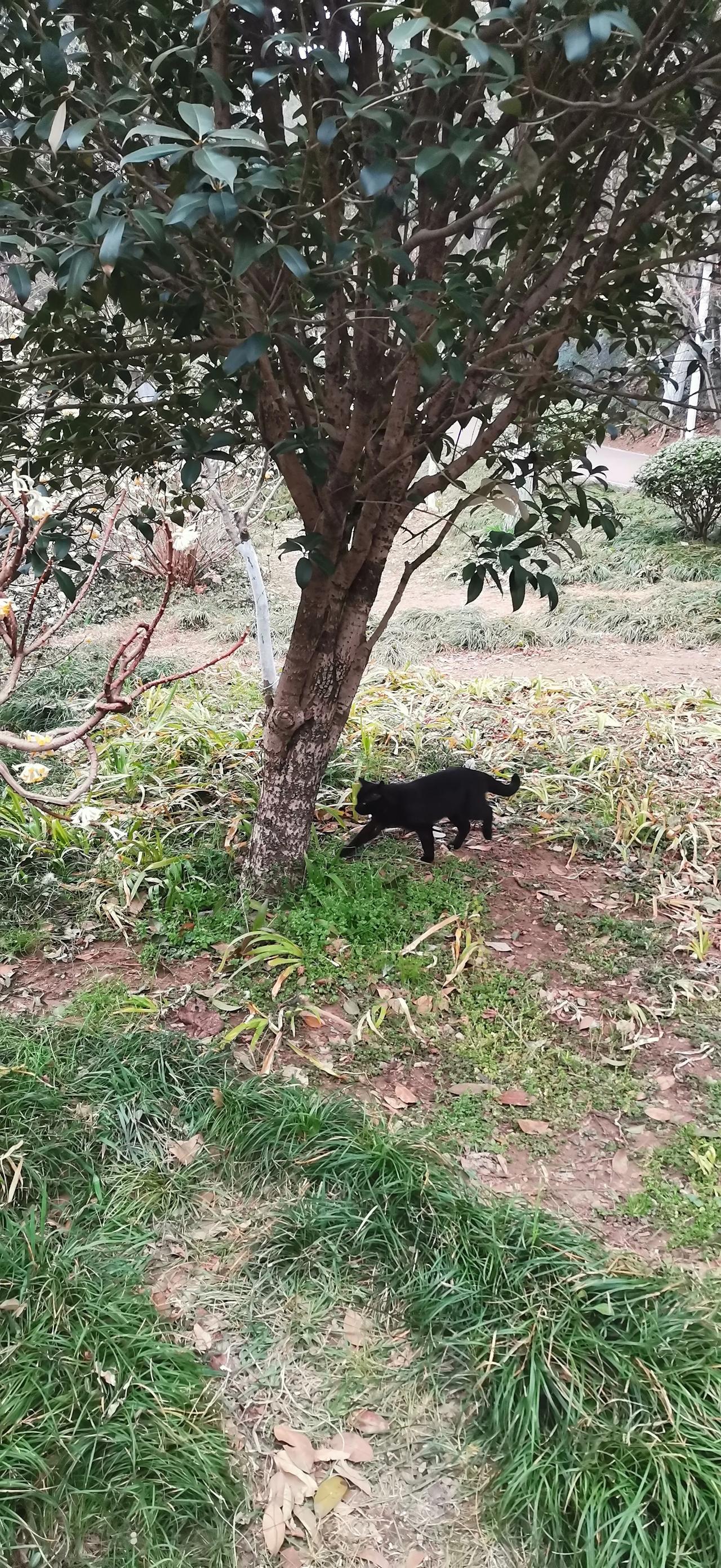 随手拍的一张风景