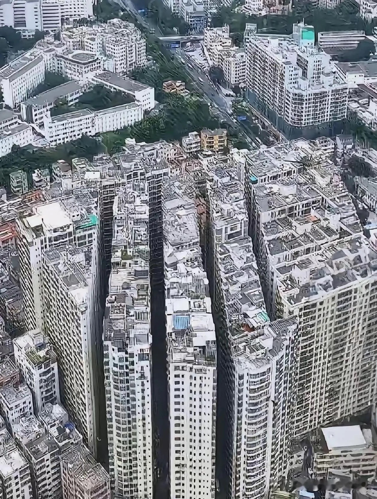 假设开发商将这个楼盘的房价降到附近楼盘平均房价的一半，你会去买吗？