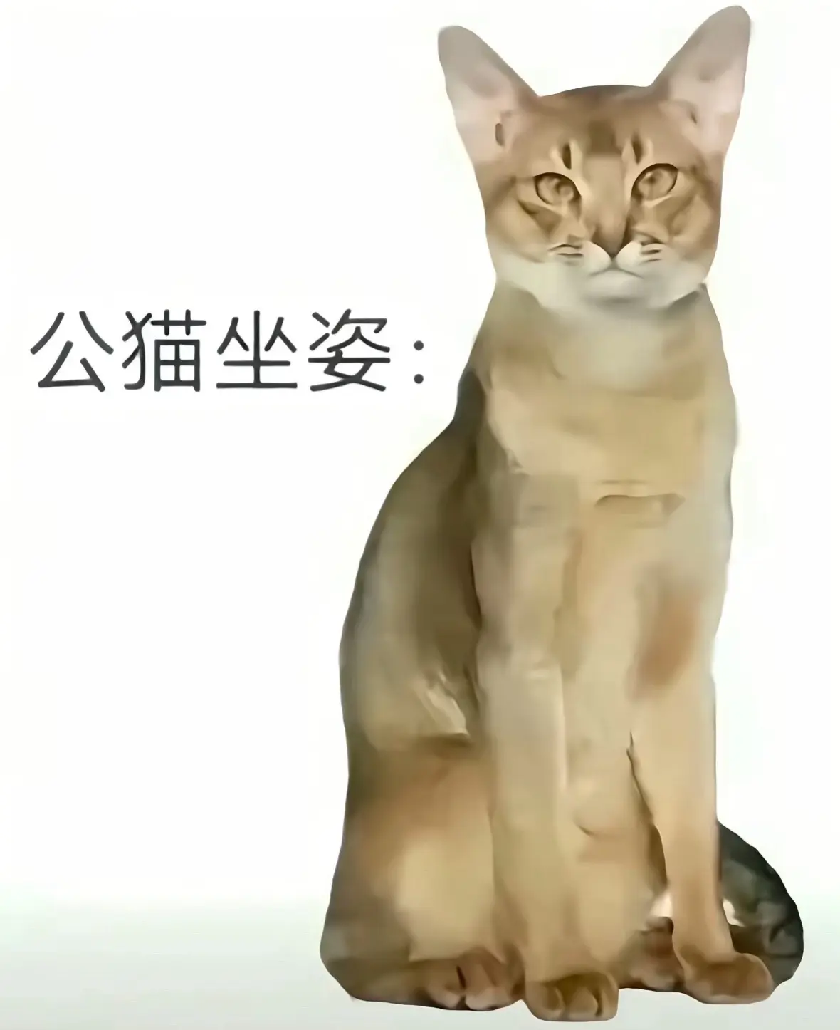 不知道您这是怎么了