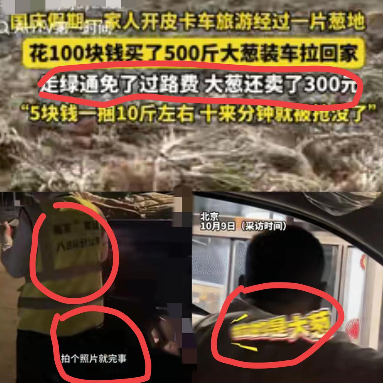 北京柴先生开皮卡带家人去承德，路过葱地听说才2毛一斤，他直接包了500斤，家人还