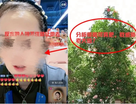 柴桑大姐在今天的直播中痛骂一名分析师“厚颜无耻”，并扬言要与她单挑，死磕到底。