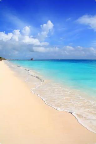 老祖宗的忠告：“什么女人才是好女人？生理上能把男人喂饱的女人，是好女人；饭桌上能