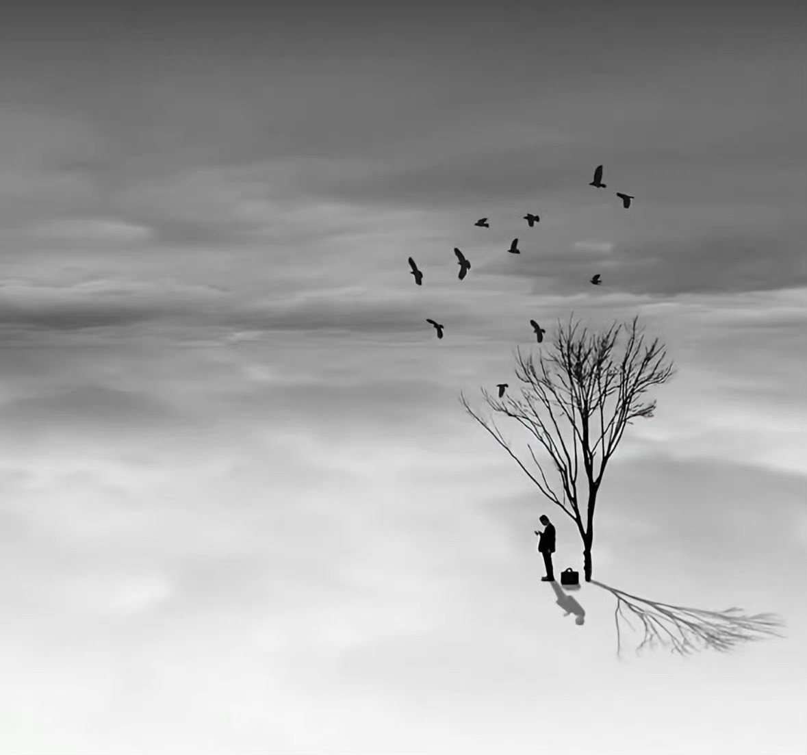 母亲的格局有一个女人，离婚已经10年了。离婚的时候，她选择净身出户，唯一的要求就