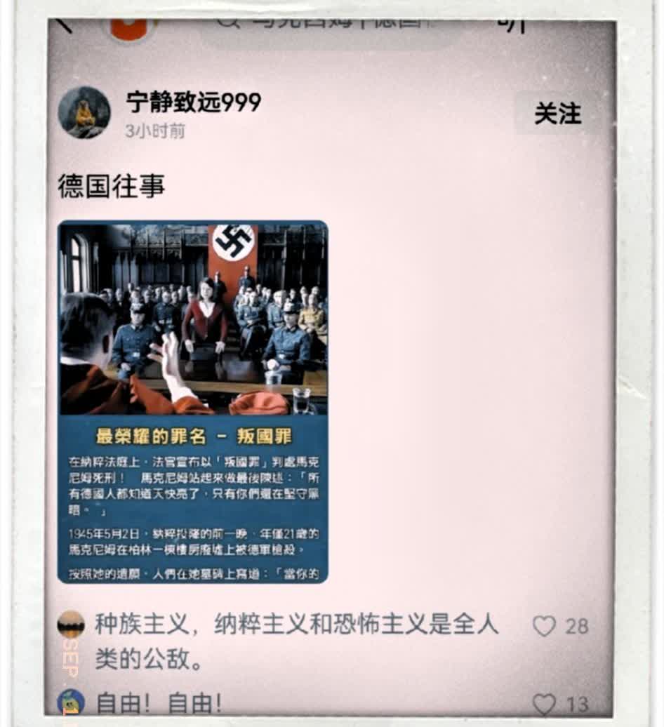 公知们这是又有了新的话术了，想用这个德国的纳粹时期的叛国罪来混淆视听。来给自