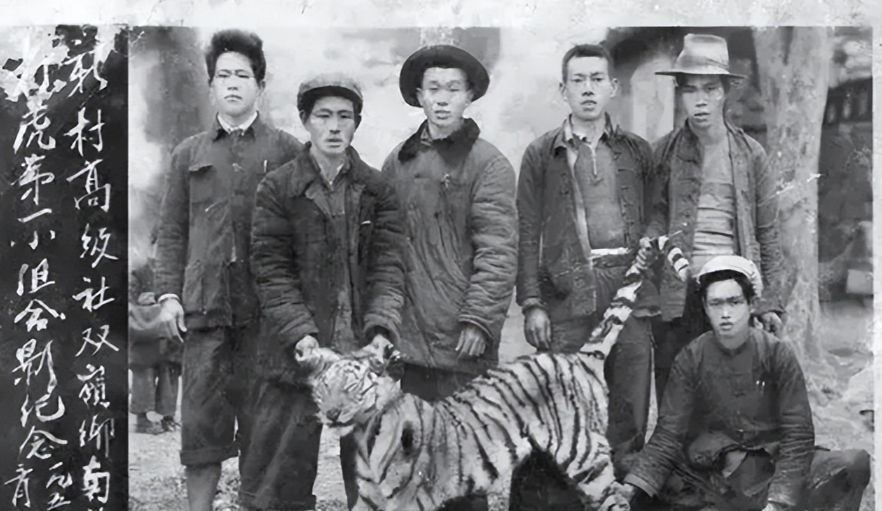 1953年，厦门双岭乡，一农户家中传来一声惨叫，紧接着女儿不见了，农户巡着血迹，