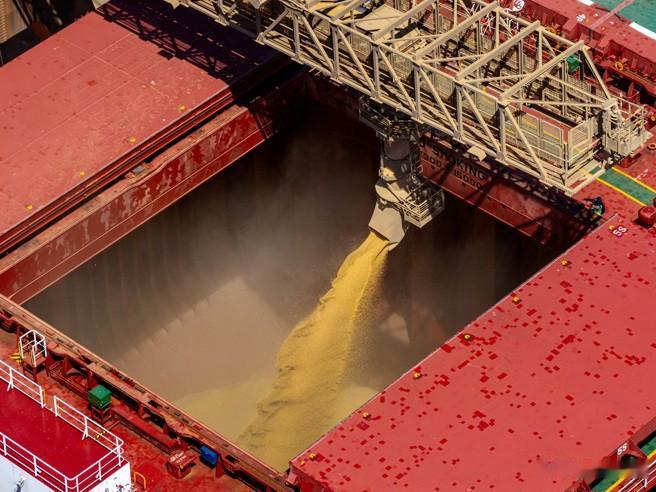 世界上，大豆只有两个买家，一个是中国，一个是其他国家。2023年，中国的大豆进口