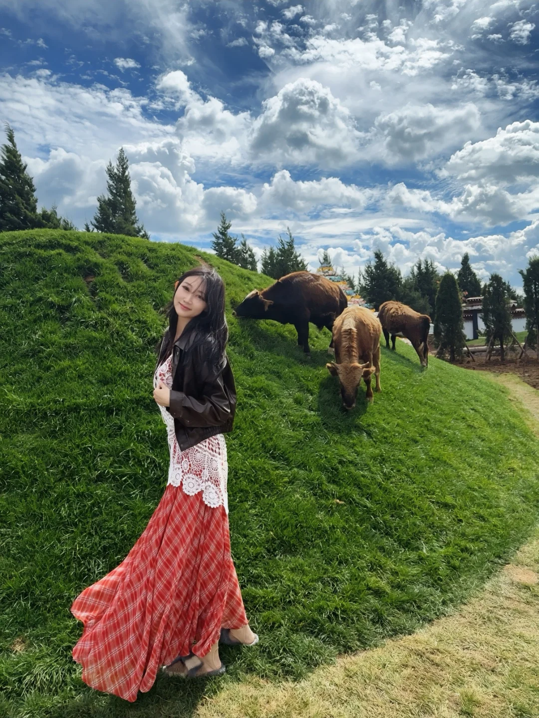 西双版纳好美