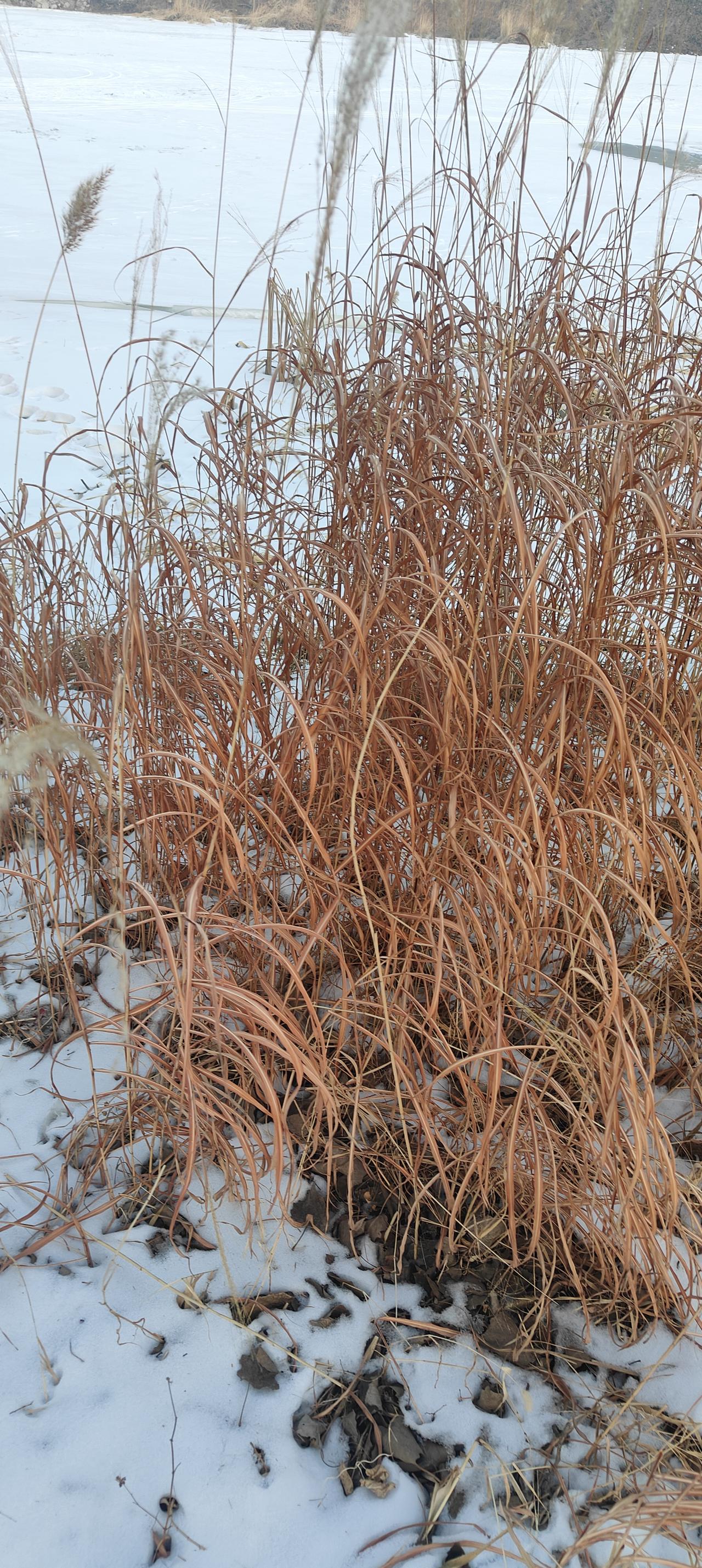 老了什么是你的底气老了第一自己手里得有钱，第二得有个健康的好身体，这就是老了的底