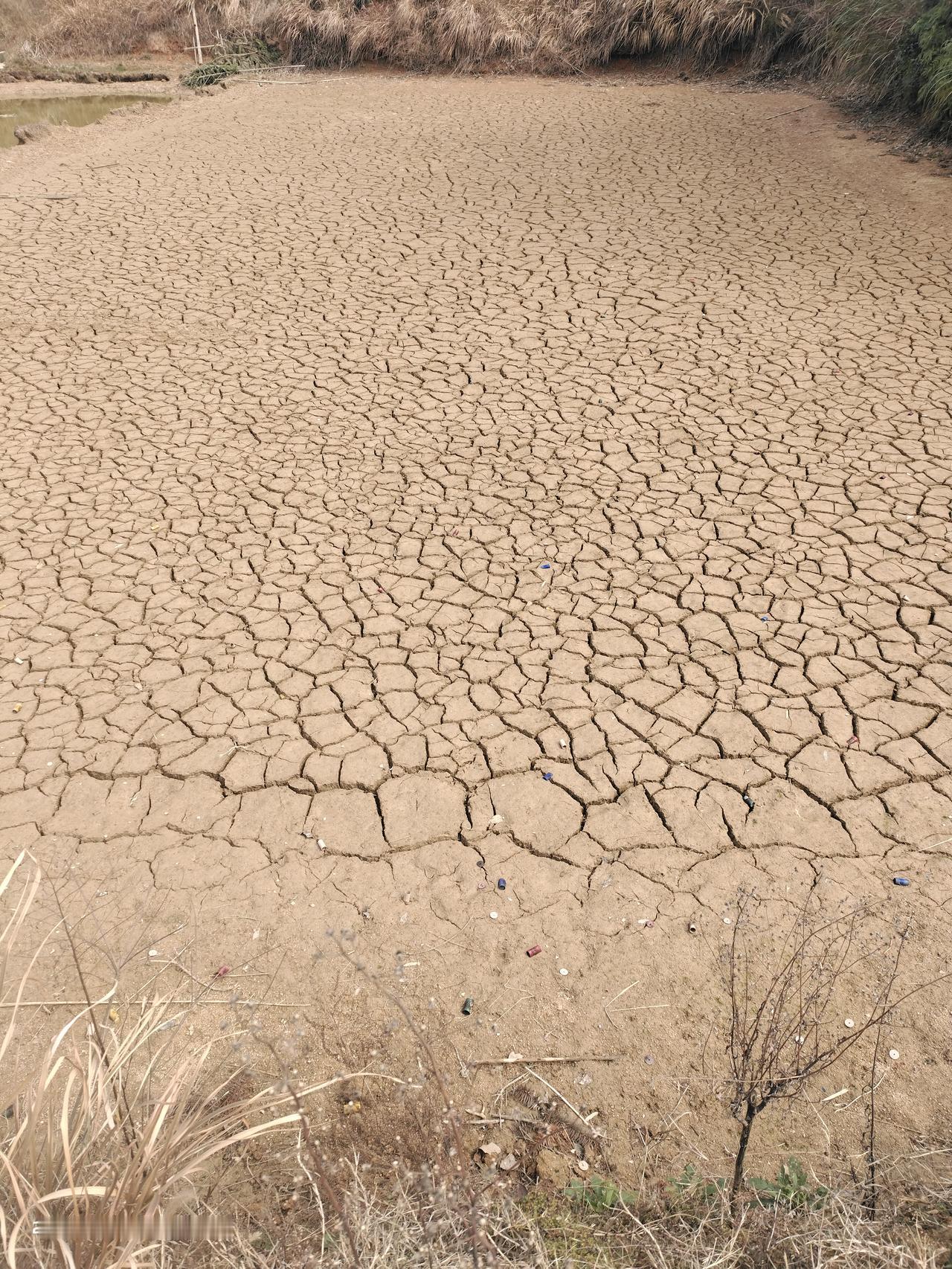 16:5924相亲儿子这一年大概介绍了20个女孩，见面的有6个，基本都是