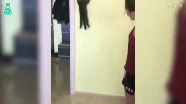 1771107203928894704.jpeg?id=0