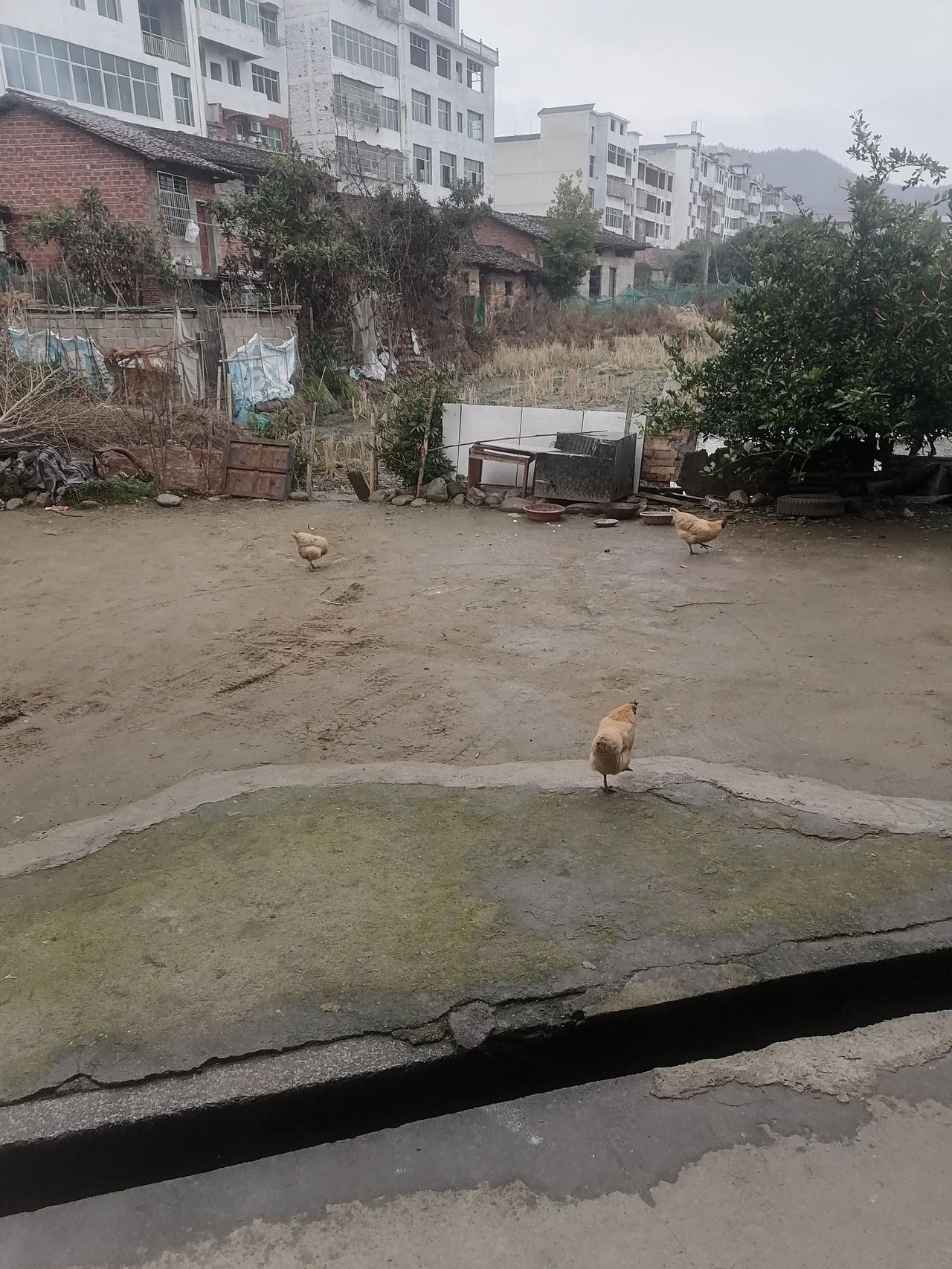 春节走亲戚，这3句话千万别接！一到过年，别的不说，走亲戚是躲不掉的。平时