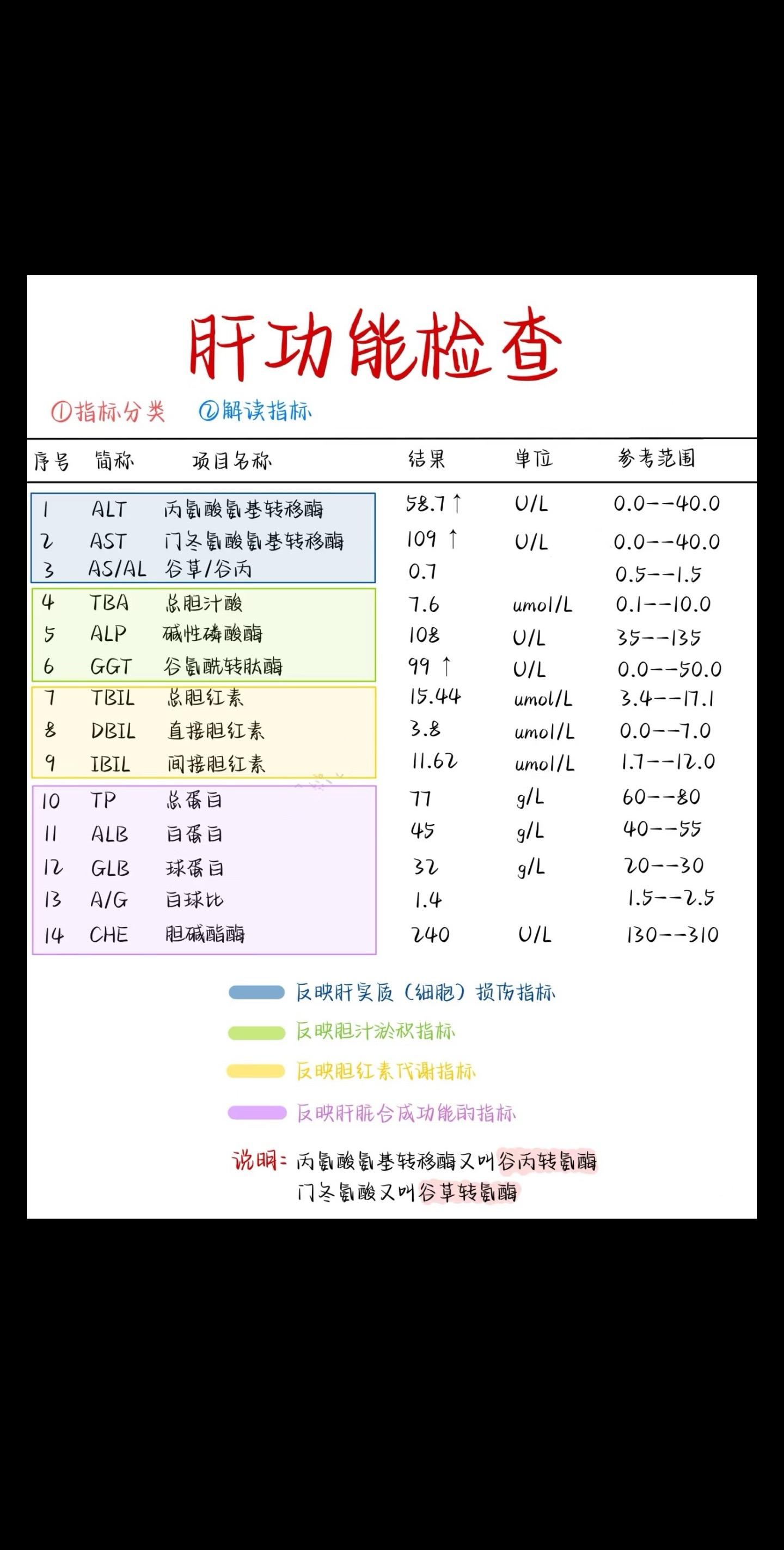 肝功能。大家好！今天我们要来聊聊一个我们每个人都应该关心的话题—肝功能...