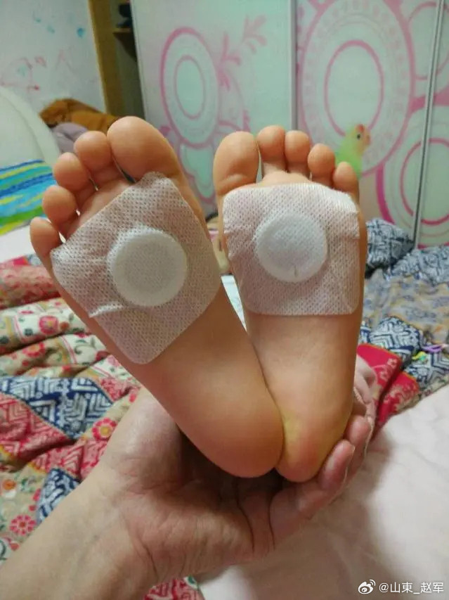 降脂贴（痰湿型）配方：山楂6g黄精6g荷叶12g决明子10g大黄6g丹参9g海藻