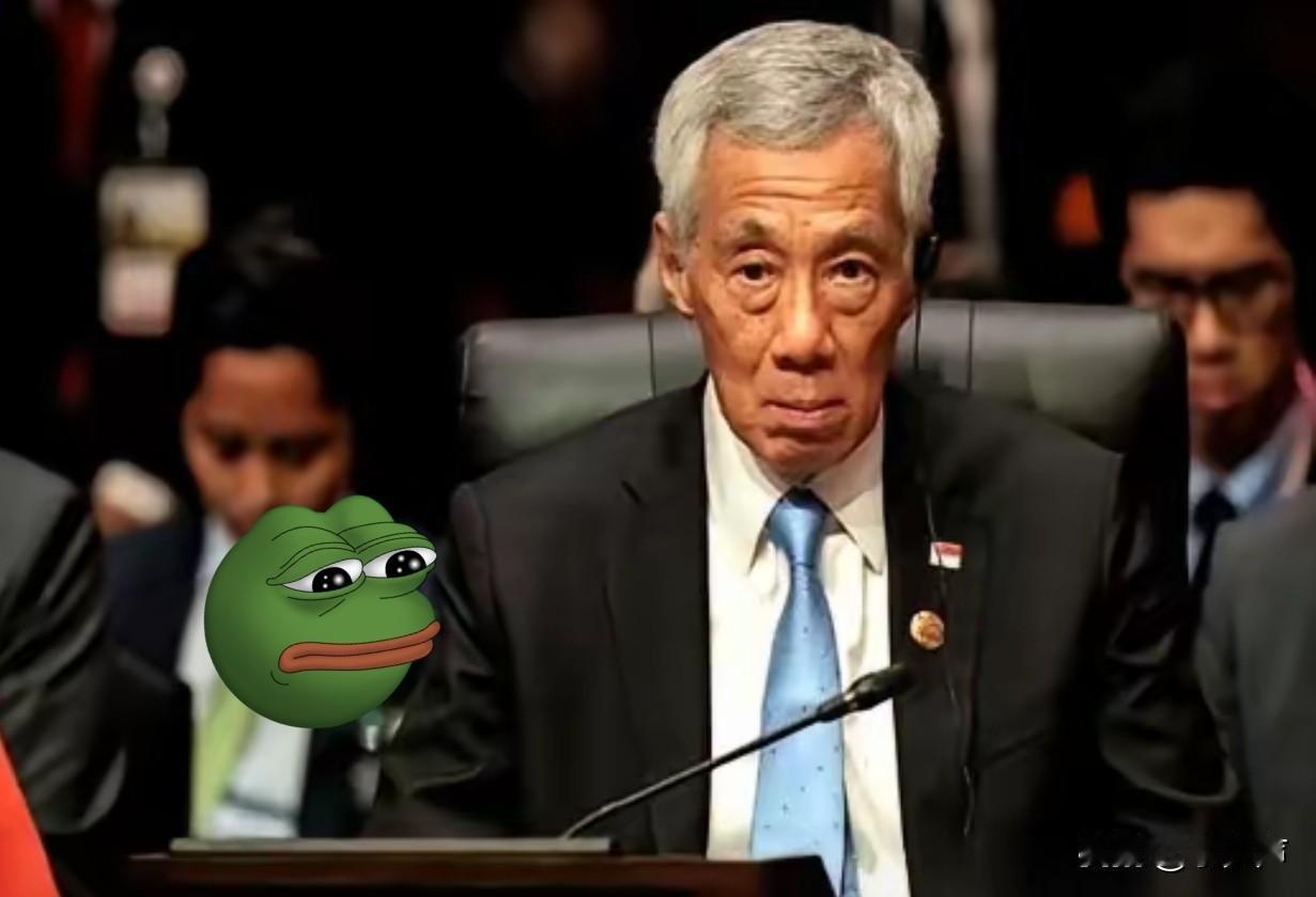 新加坡万万没想到，中国会在海南洋浦港给它准备这么一手。现在洋浦港能停20万吨级大