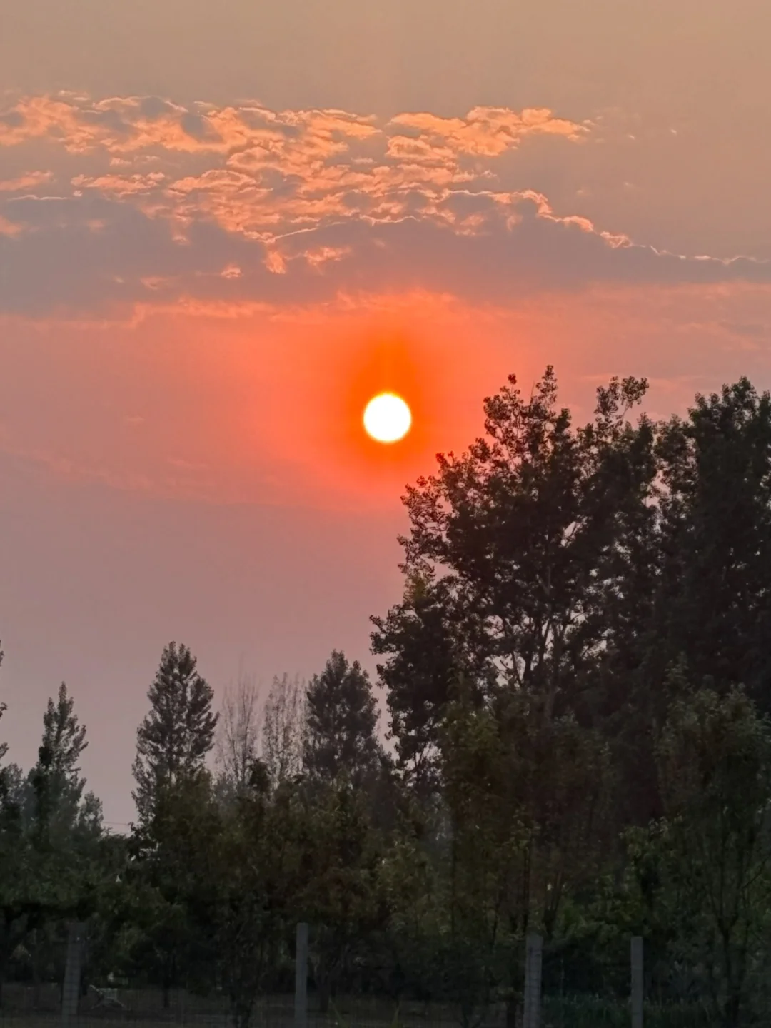 硕士论文写得很烂也能过盲审