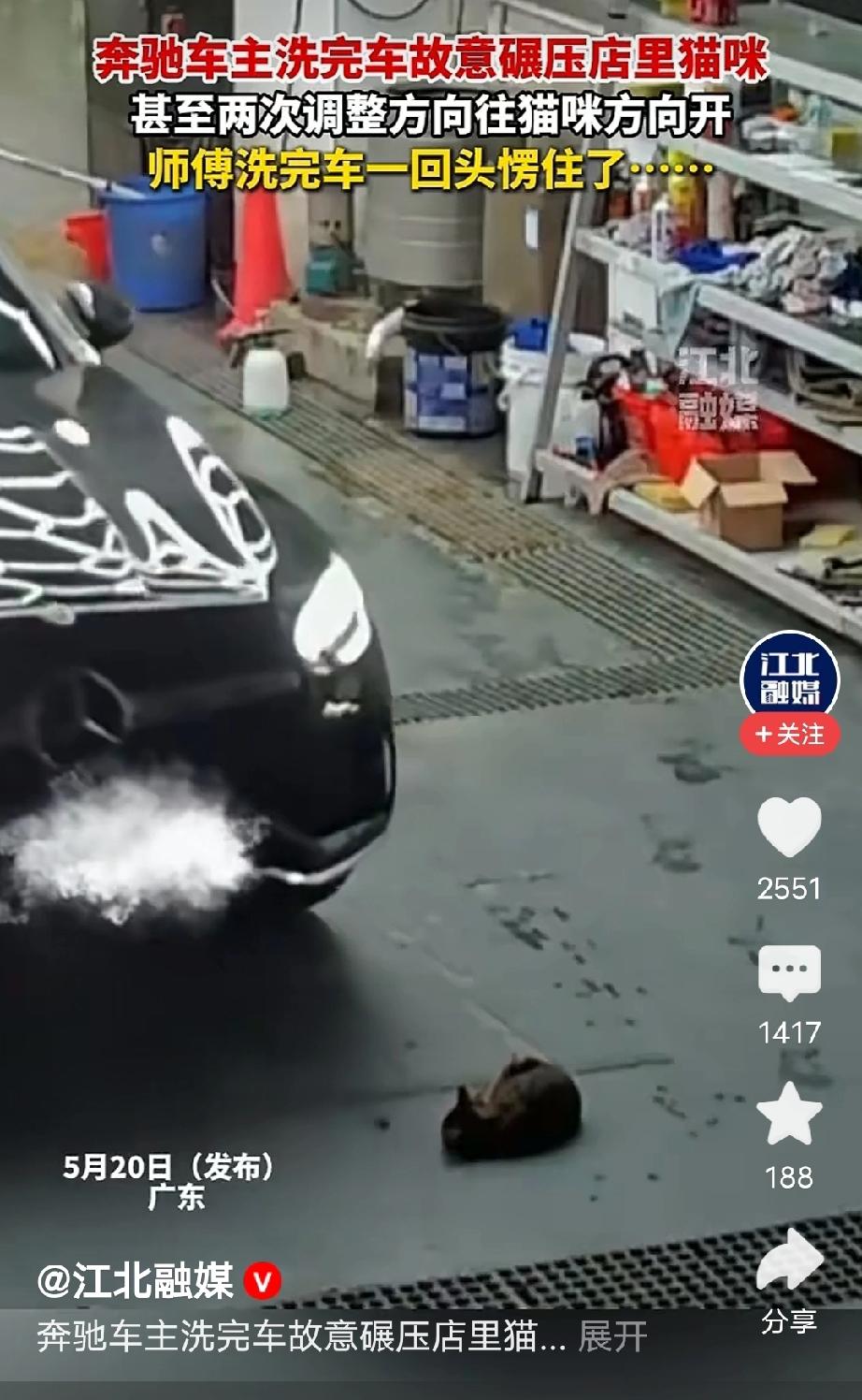 广东，男子开着奔驰车去清洗，准备离开时，突然看到地上趴着一只母猫，他2次调整方向
