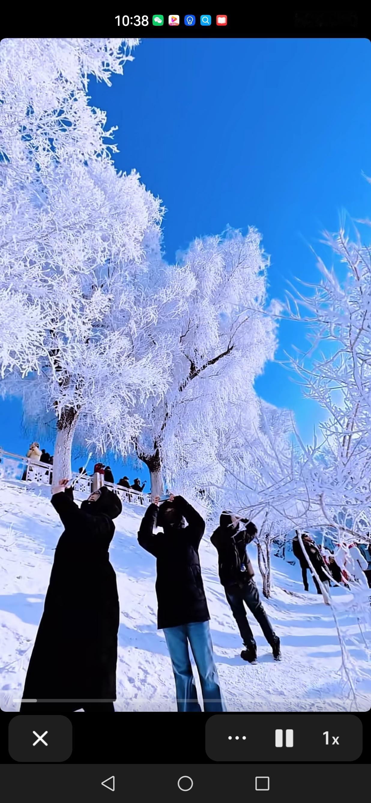 可以分享一张你相册里最美的风景吗随手拍～