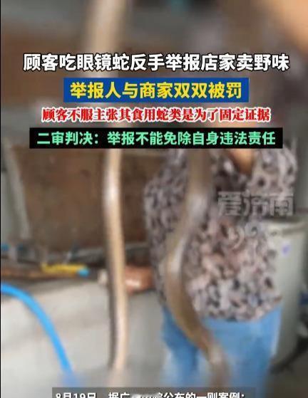广州张某，主动去餐馆点了份眼镜蛇肉，吃完一抹嘴就举报了商家，结果自己也被罚了款。