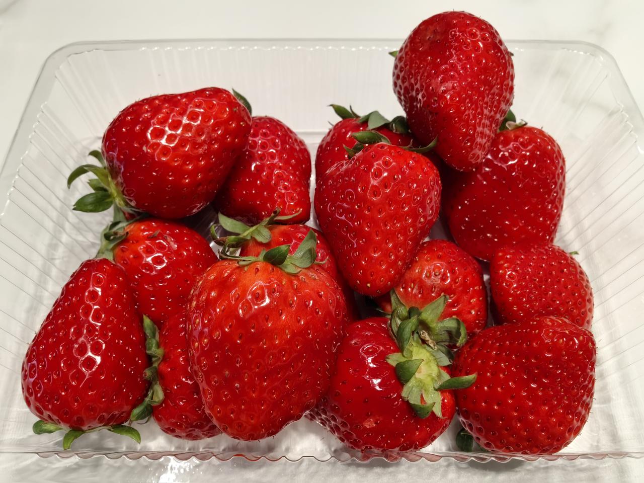 这么漂亮的草莓你吃过吗？看到水果店里的草莓一个个红得锃亮，晶莹剔透