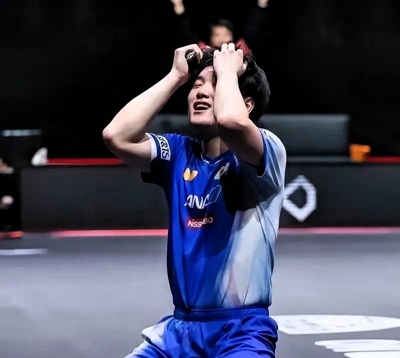 日本乒协主席这几天估计连觉都睡不着。张本智和这一跑，直接把T联赛的天给捅破了。