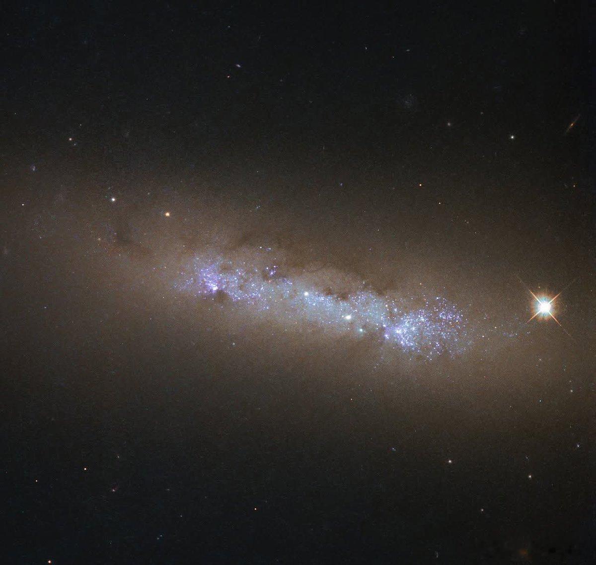 猎犬座遥远彼端，距地球2400万光年，NGC4248如暗夜中一座闪耀的岛屿般展