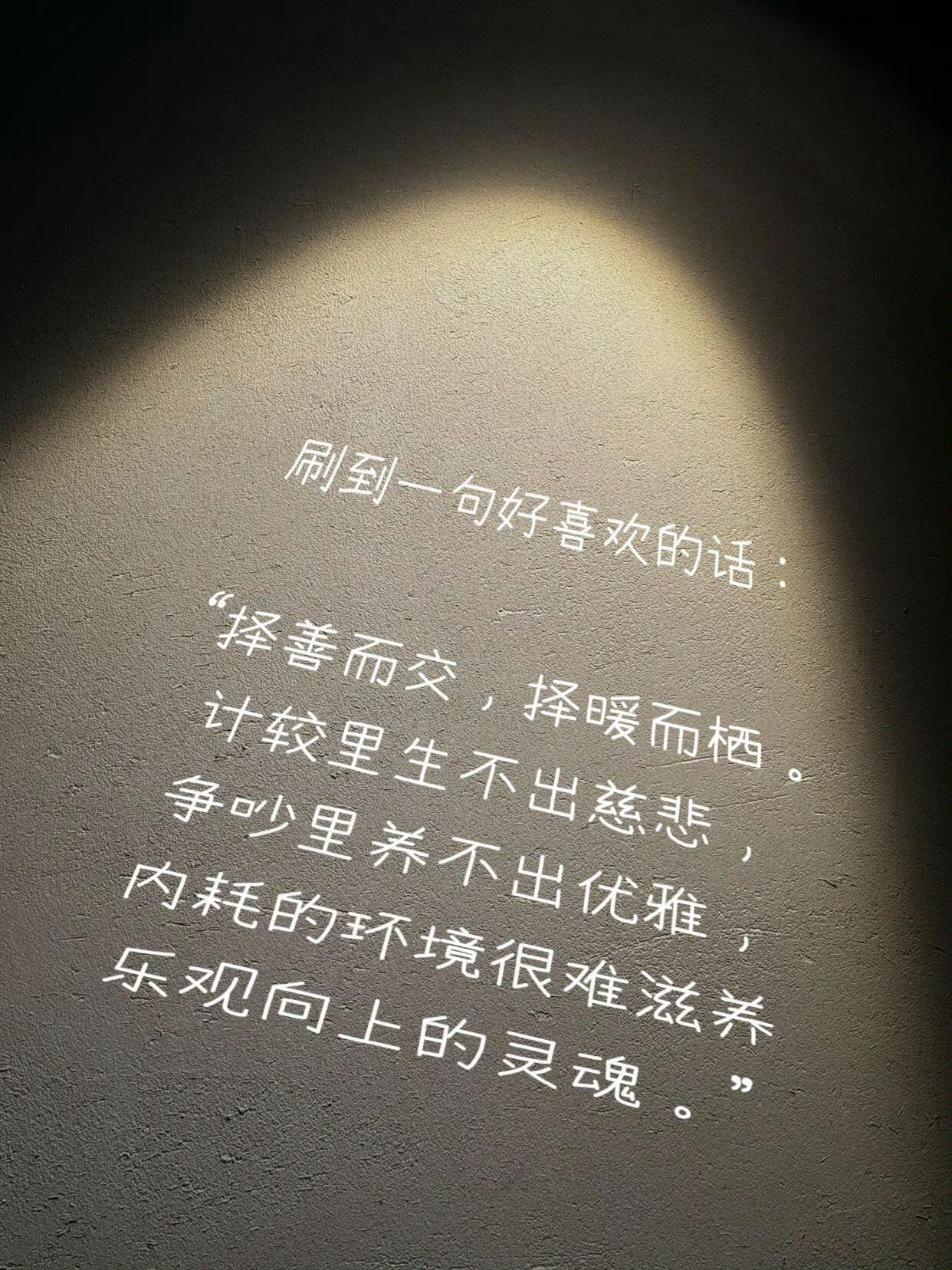 刷到一句好喜欢的话：为什么人要择善而交，择暖而栖。因为计较里生不出慈悲，争吵里养