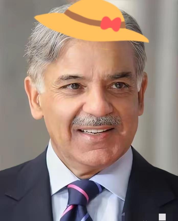 巴基斯坦传来消息，4月21日，巴基斯坦副总理兼外长达尔紧急会见美国驻巴临时代