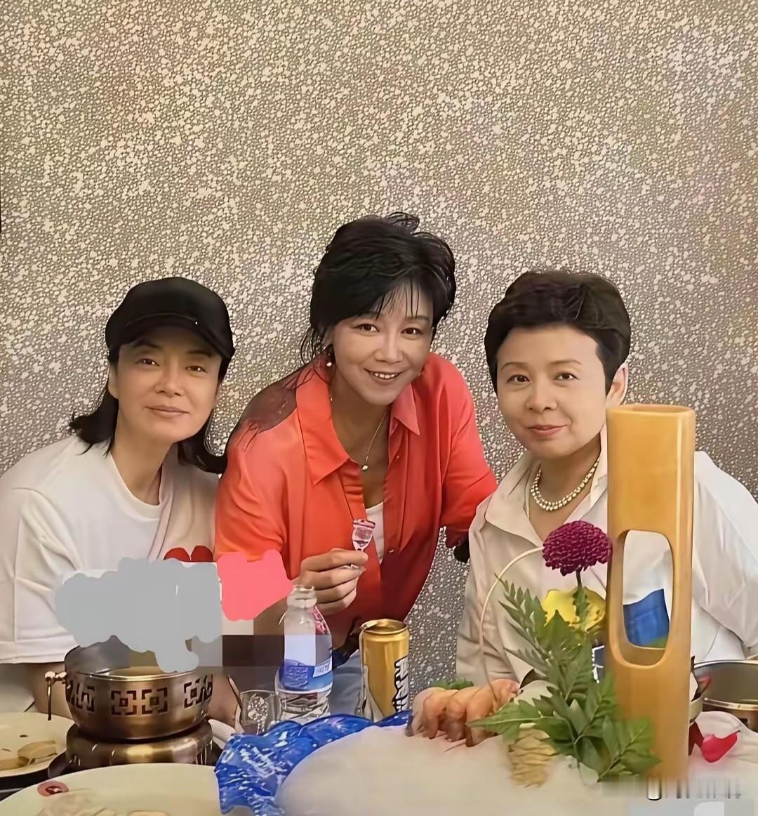 除了毛阿敏和董文华外，中间这位歌唱家是谁啊？气质比毛阿敏和董文华还要好，英气十足