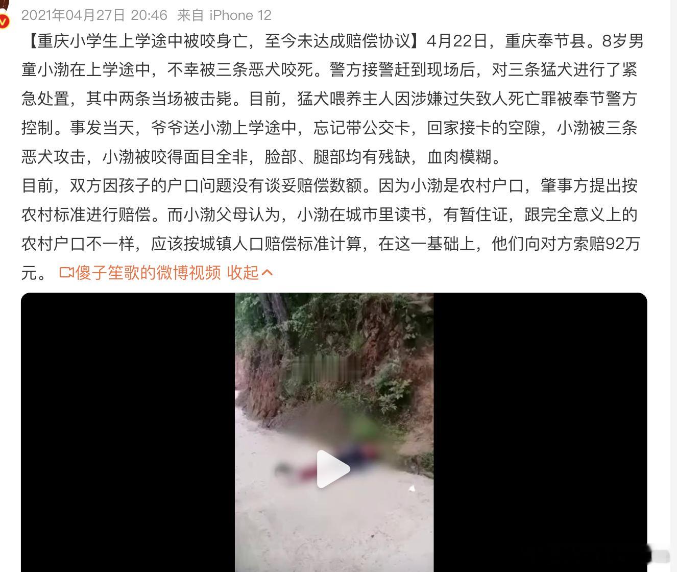 网红犬被偷走宰杀主人落泪回应边牧攻击人，并不少见。农村地区的散养犬，导致很多悲