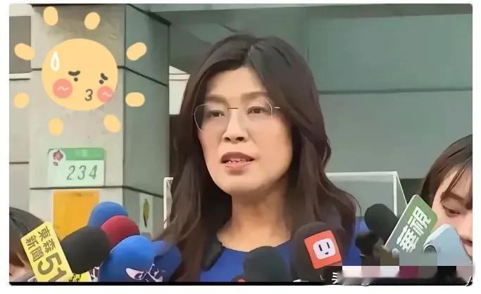 一件“蓝红各一”的服饰让人遐想郑丽文在投票日当天穿了一件蓝红相间的上衣，蓝色