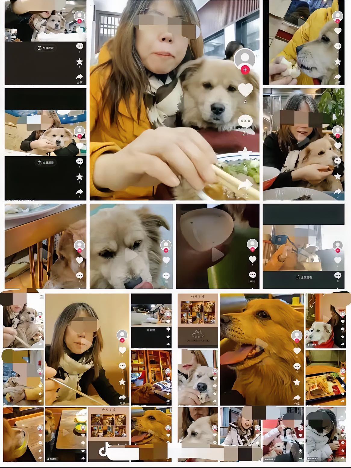 比南门涮肉砸盘子更堵心的事儿来了北京餐饮业“瑟瑟发抖”原来给狗用公用餐具的女